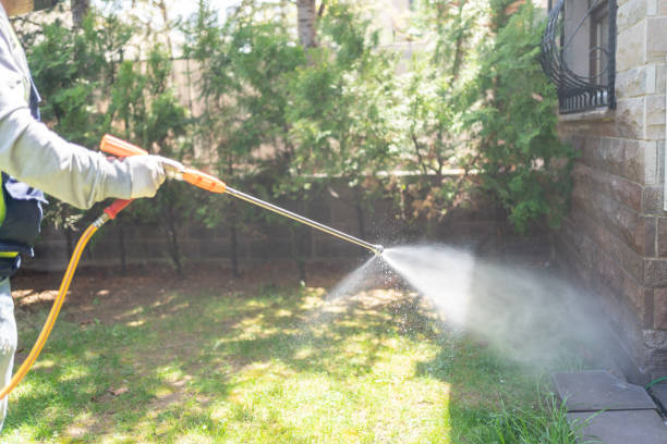 Best Mosquito Control  in Brisbane, CA